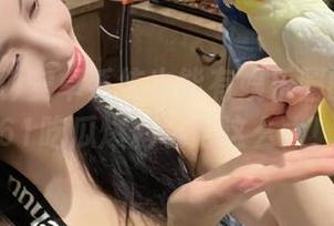 安卓系统也能有娱乐圈的味道？61吃瓜爆料玩得这么大！