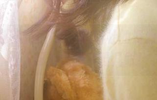 就这下载，黑料社的资源真的是让人忍不住想多瞄几眼！