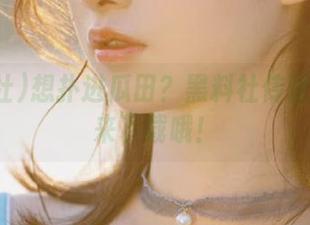想扑进瓜田？黑料社传送门等你来下载哦！