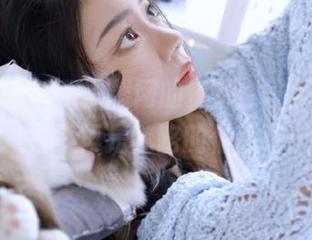 抓紧黑料网的资源，最新回家线路不再是迷路的借口！